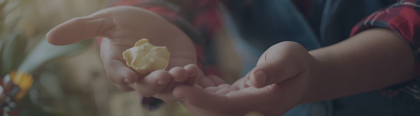 Service us background